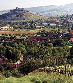 Weinrebn und Staufen