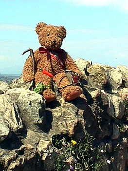 ... jetzt ist Toni ganz oben